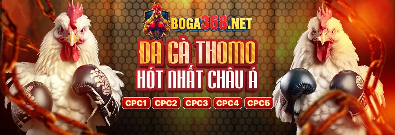 Liên hệ hỗ trợ vuabai99 win
