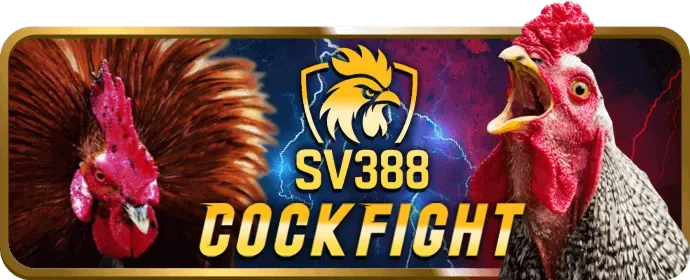 Chính sách Cookie vuabai99 win
